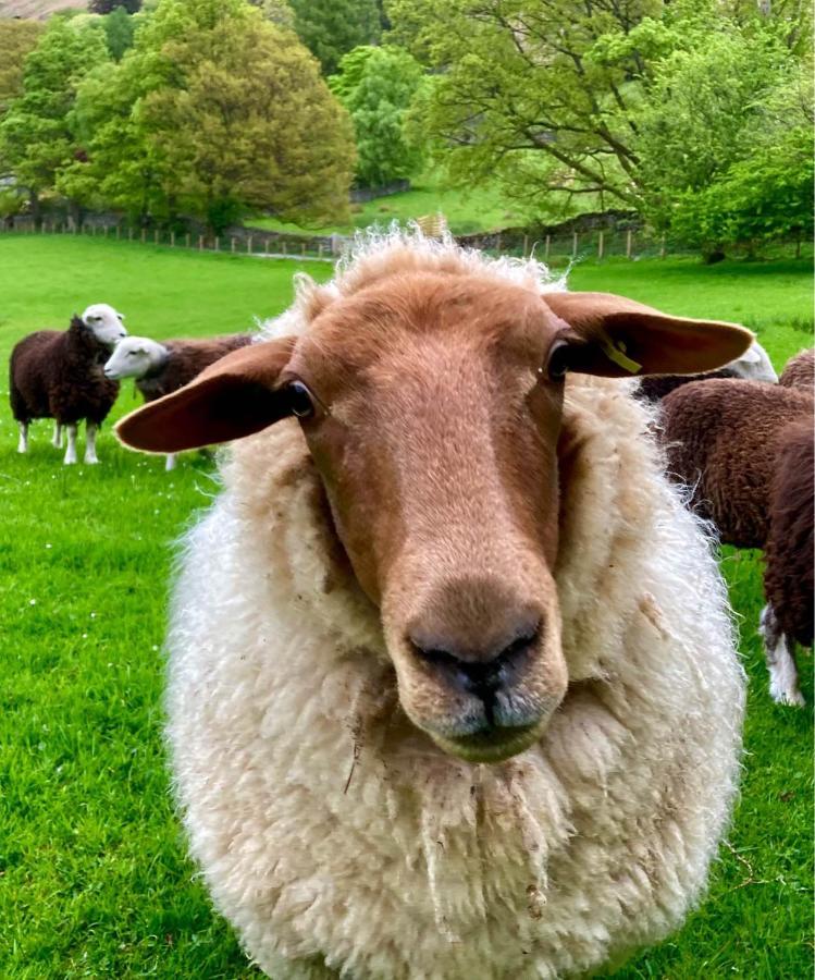 Crookabeck B&B Patterdale Εξωτερικό φωτογραφία