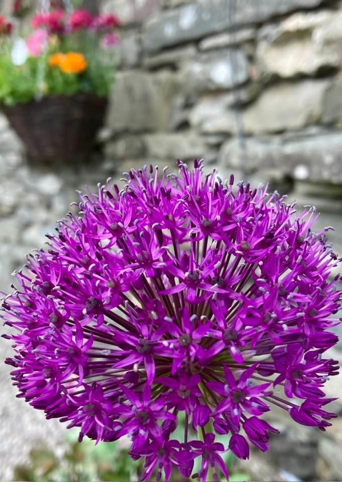 Crookabeck B&B Patterdale Εξωτερικό φωτογραφία