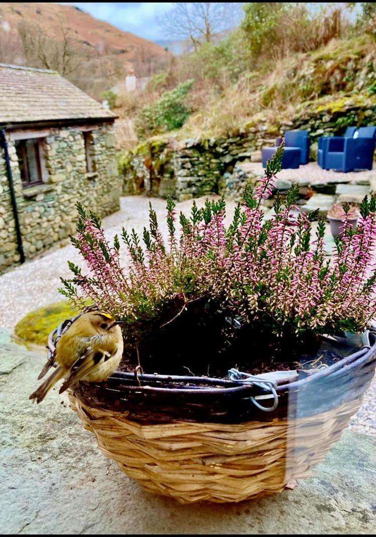 Crookabeck B&B Patterdale Εξωτερικό φωτογραφία